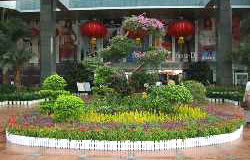 欢迎光临广州市实华园林绿化装饰工程有限公司!
